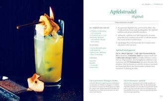 Richter Daniel: Cocktails selbst gemixt