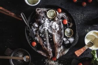 Vielfalt aus Meer, Seen und Flüssen - Rezepte für Fisch & Meeresfrüchte