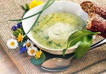 kraeutersuppe_1