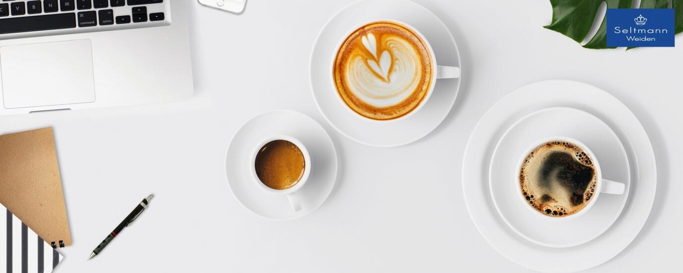 Seltmann Weiden - VIP.