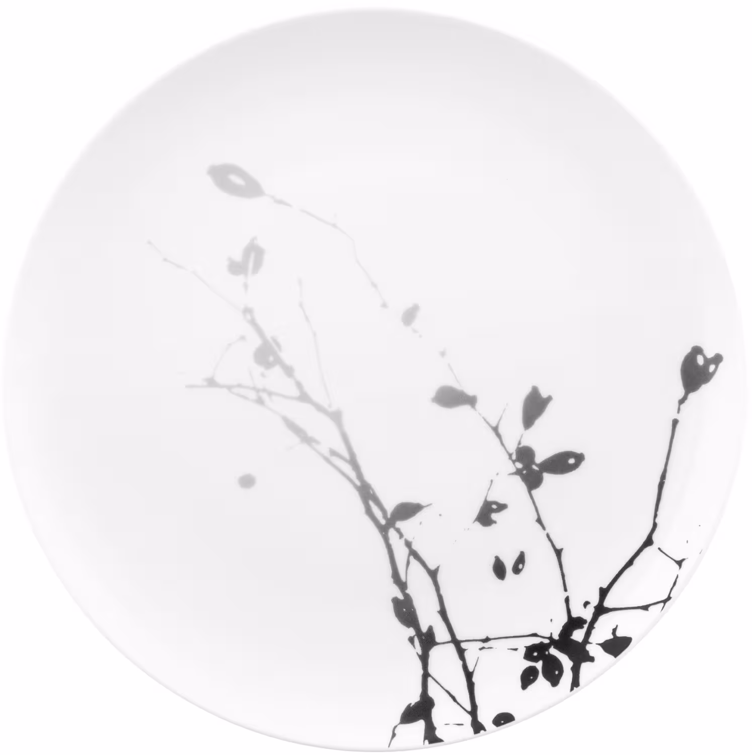 Seltmann Weiden Liberty Frühstücksteller Dark Rose Hip 22,5 cm