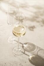 Zwiesel Glas Champagnerglas Journey, 2er Set