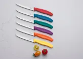 Victorinox Swiss Classic Tafelmesser Standard mit Wellenschliff, 11 cm, bunt, 6-teilig
