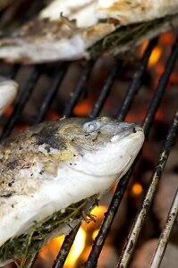 Fisch_Grill_kk