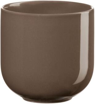 ASA coppa kaori Teebecher 2er Set braun glänzend