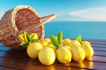 Zitronen_Sizilien