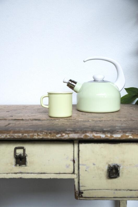 Riess Flötenkessel aus Emaille in nilgrün