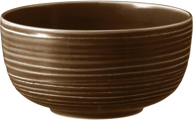 Seltmann Weiden Terra Foodbowl 17,5 cm, erdbraun