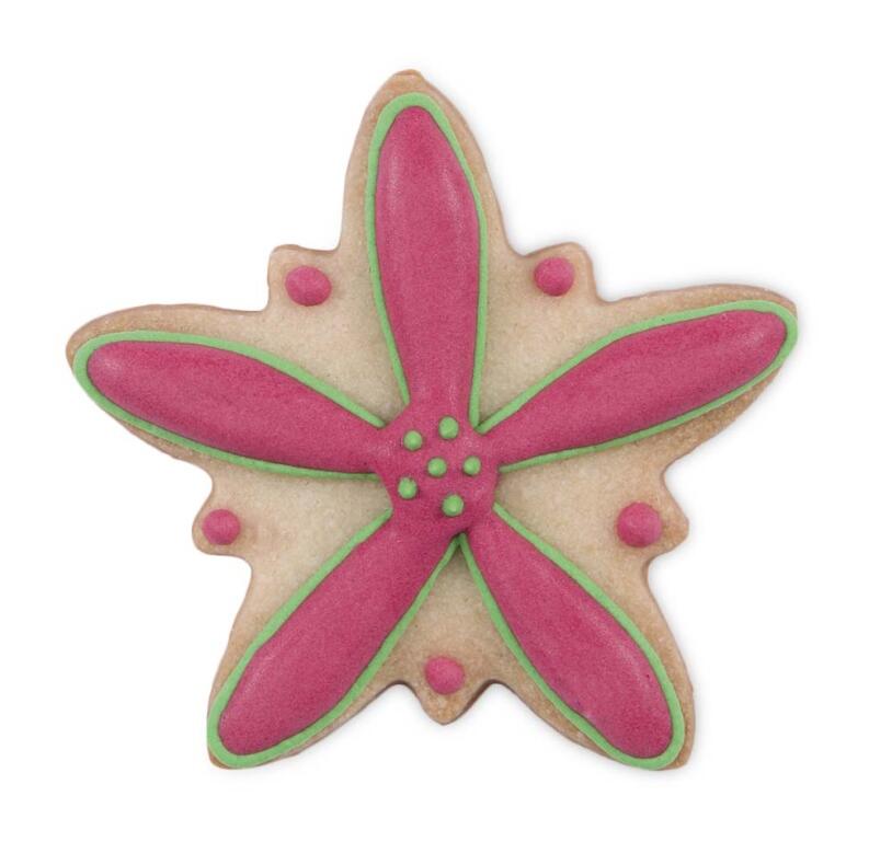 Städter Ausstechform Edelweiß 4,5 cm Keks Blume pink-grün