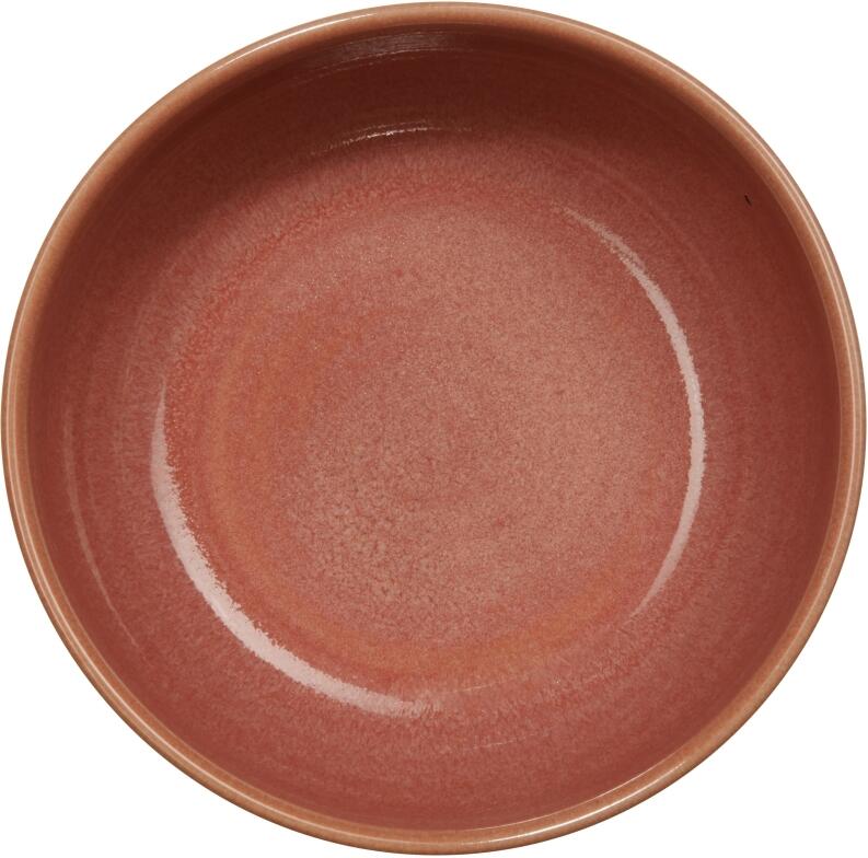 ASA Poké Bowl poke bowls in dragonfruit