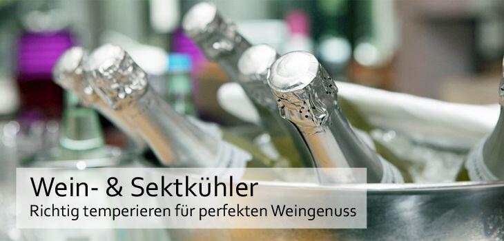 Wein- & Sektkühler - Richtig temperieren für den perfekten Weingenuss